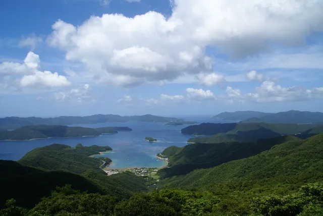 奄美大島の深い緑と入り組んだ湾の風景